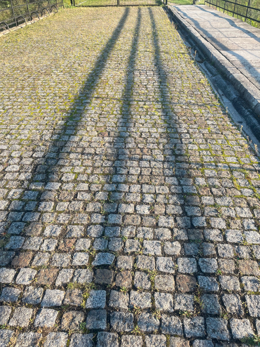 Zdjęcie - II miejsce